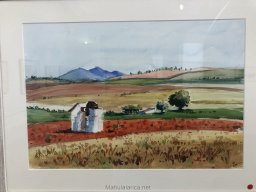 Exposición de Paz Araujo en Mula